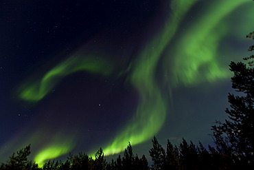 Swirling Northern lights, Polar Aurorae, Aurora Borealis, green, near Whitehorse, Yukon Territory, Canada