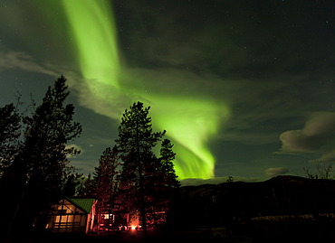 Illuminated, lit wall tent, cabin with swirling northern polar lights, Aurora Borealis, green, near Whitehorse, Yukon Territory, Canada