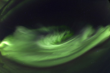 Swirling northern polar lights, rare overhead display, Aurora Borealis, green, near Whitehorse, Yukon Territory, Canada