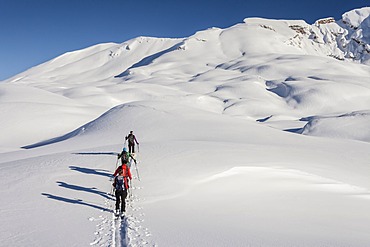 Ski touring in the ascent to the Seekofel in the Fanes-Senes-Prague in the Dolomites, in the back right the Seekofel, left the Kleiner Seekofel, St. Vigil, Fanes-Sennes-Prags Nature Park, Puster Valley, Province of South Tyrol, Italy, Europe