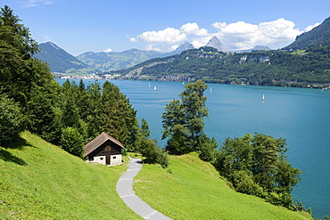 Ruetli, the founding site of Switzerland, with the Kleiner Mythen and Grosser Mythen mountains, Brunnen, Switzerland, Europe