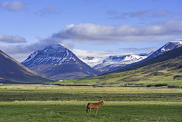 Mountain massif Hagafjall, Holar, Norourland vestra, Iceland, Europe