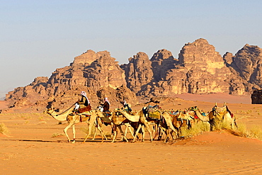 Bedouins with Camel Caravane at Wadi Rum, Jordan, Asia