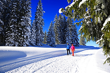 Hikers on Germany's first premium winter hiking trail, Hemmersuppenalm, Reit im Winkl, Chiemgau, Upper Bavaria, Bavaria, Germany, Europe?, Europe