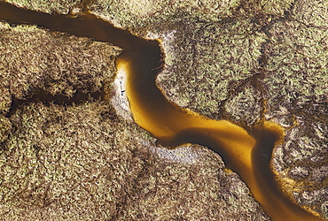 Freshwater marshes with sandy streams and channels, aerial view, Okavango Delta, Botswana, Africa