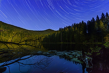 Großer Arbersee, night shot with moving stars and moonlight, Bavarian Forest National Park, Bavaria, Germany,, Europe