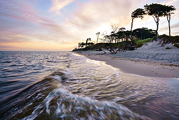 Dawn at the western beach Darß, Western Pomerania Lagoon Area National Park, Fischland-Darß-Zingst, Baltic Sea, Prerow, Mecklenburg-Vorpommern, Germany, Europe