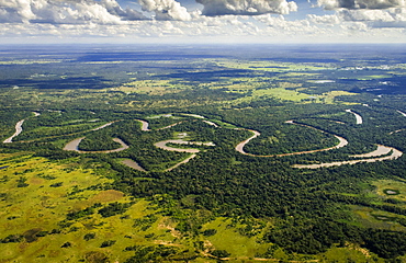 Rio Aquidauana, Pantanal, Mato Grosso do Sul, Brazil, South America