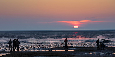 People looking at the sunset, mudflat, Lower Saxon Wadden Sea National Park, Cuxhaven, North Sea, Lower Saxony, Germany, Europe