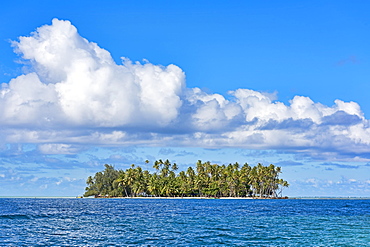 Small deserted island with palm trees, Raiatea, French Polynesia, South Pacific, Oceania