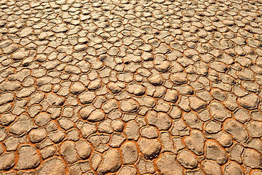 Cracked mud patterns on the playa, Tassili n'Ajjer National Park, Sahara desert, Algeria, Africa