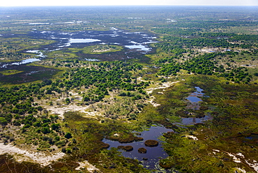 Aerial view, Okavango Delta, Botswana, Africa