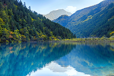 Arrow Bamboo Lake, Jiuzhaigou National Park, Sichuan Province, China, Asia