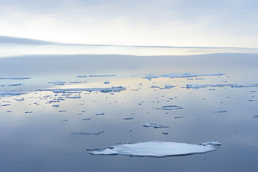 Arctic Ocean, 81°North, Svalbard Archipelago, Norway, Europe