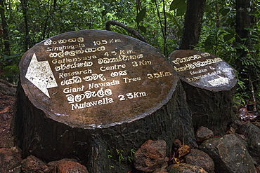 Signpost, Sinharaja Forest Reserve, Sri Lanka, Asia