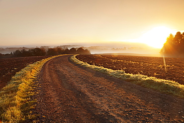 Way between farmland with morning mist at sunrise, Hunsrück, Rhineland-Palatinate, Germany, Europe