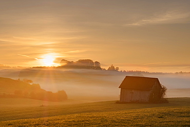 Sunrise, Heustadl on a meadow, foggy atmosphere, Bauersbach near Wielenbach, Fünfseenland, Upper Bavaria, Bavaria, Germany, Europe