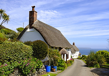 Traditional thatched houses, Landewednack, Lizard, Lizard Peninsula, Cornwall, England, United Kingdom, Europe