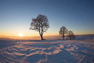 Winter landscape at sunset, Konstanz district, Baden-Württemberg, Germany, Europe