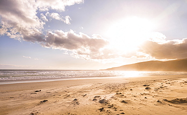 Sunset, Sandfly Bay, Dunedin, Otago Peninsula, Southland, New Zealand, Oceania