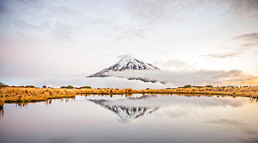 Reflection in Pouakai Tarn, stratovolcano Mount Taranaki or Mount Egmont at dusk, Egmont National Park, Taranaki, North Island, New Zealand, Oceania