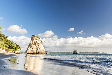 Beach at Cathedral Cove, Mercury Bay, Coromandel Peninsula, North Island, New Zealand, Oceania