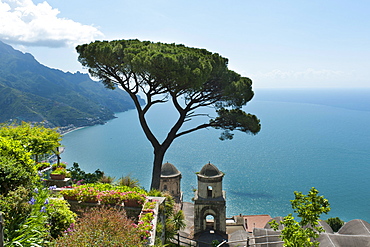 View of coast and sea, pine tree and church, Chiesa dell'Annunziata, Ravello, Amalfi Coast, Campania, Italy, Europe