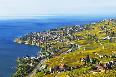 Vineyards in autumn with a view of the wine-producing Cully village, Lavaux, Canton of Vaud, Switzerland, Europe