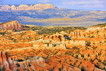 Evening Light, Bryce Canyon National Park, Utah, USA, North America