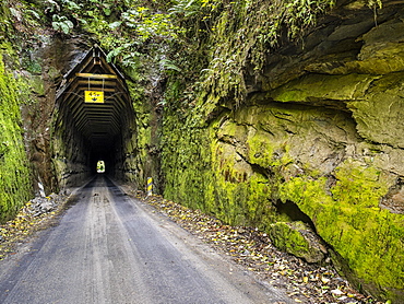 Tunnel, Forgotten World Highway, Taranaki Region, North Island, New Zealand, Oceania