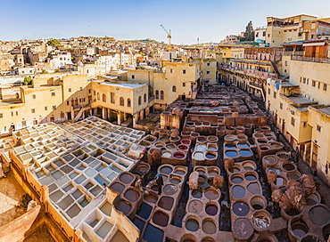 Worker dyeing leather, basin with paint, dyeing, tannery Tannerie Chouara, tanner and dyer quarter, Fes el Bali, Fes, Morocco, Africa