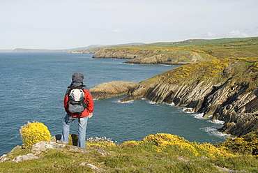 Hiker looking out over the coast, sea, lookout point, Pembrokeshire National Park, Wales, United Kingdom, Europe