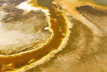 Detailed view of the discoloration caused by bacteria and algae on a geyser, Geyser Hill, Old Faithful Area, Yellowstone National Park, Wyoming, USA, North America