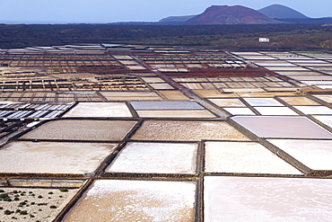 Sea salt production, salt pans of Janubio Salinas de Janubio, Lanzarote, Canary Islands, Spain, Europe