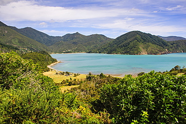 View over the Marlborough Sounds, South Island, New Zealand, Oceania