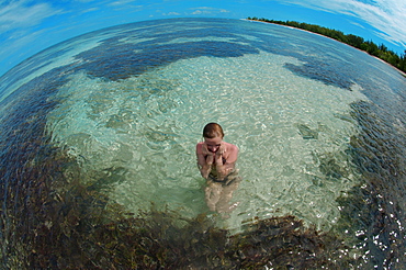 A young woman sitting in water, Denis Island, Seychelles, Africa