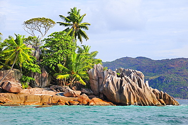 Coast with palm trees on eroded rocks, Curieuse Island, near Praslin Island, Seychelles, Africa