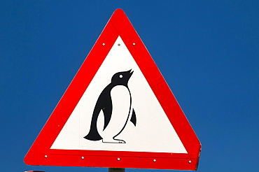 Warning sign, penguins, Cape Agulhas, Western Cape, South Africa, Africa