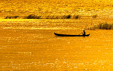 Man paddling boat on River Ayeyarwady or Irrawaddy, evening mood golden light, Mandalay, Mandalay Division, Myanmar, Asia