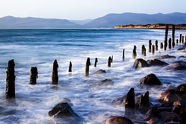 Groynes on Rossbehy Beach, Glenbeigh, County Kerry, Ireland, Europe