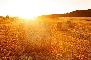 Hay bales at sunset, Swabian Jura, Baden Württemberg, Germany, Europe