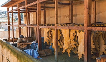 Worker working on leather, dying, tannery, Tannerie Chouara, tanner and dyer quarter, Fes el Bali, Fes, Kingdom of Morocco, Africa