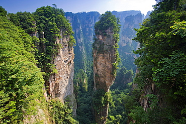 Hallelujah Mountains, sandstone towers, mountains of Zhangjiajie, Wulingyuan National Park, Hunan Province, China, Asia