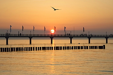 Breakwaters or groynes, pier, sunset, Baltic Sea, Zingst, Fischland-Darß-Zingst peninsula, Mecklenburg-Western Pomerania, Germany, Europe