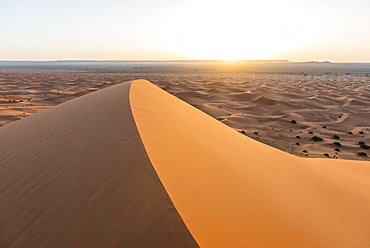 Sand dunes in the desert, dune landscape Erg Chebbi, Merzouga, Sahara, Morocco, Africa