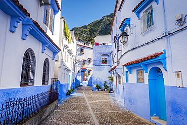 Narrow alley, blue houses, medina of Chefchaouen, Chaouen, Tangier-Tétouan, Morocco, Africa