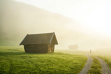 Sunrise and morning mist, meadow, Krün near Mittenwald, Werdenfelser Land, Upper Bavaria, Bavaria, Germany, Europe