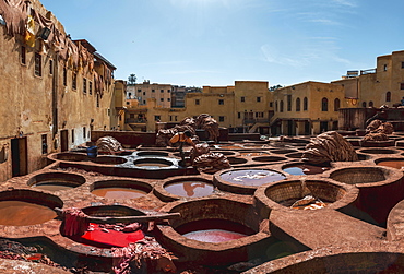 Worker dyeing leather, basin with paint, dyeing, tannery Tannerie Chouara, tanner and dyer quarter, Fes el Bali, Fes, Morocco, Africa