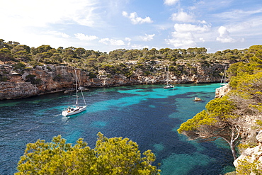 Sailing boat in the bay, Cala Pi, Majorca, Balearic Islands, Spain, Europe