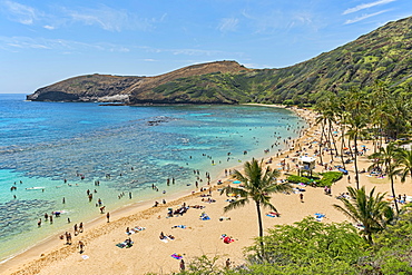 Beach, Hanauma Bay, Oahu, Hawaii, United States, North America